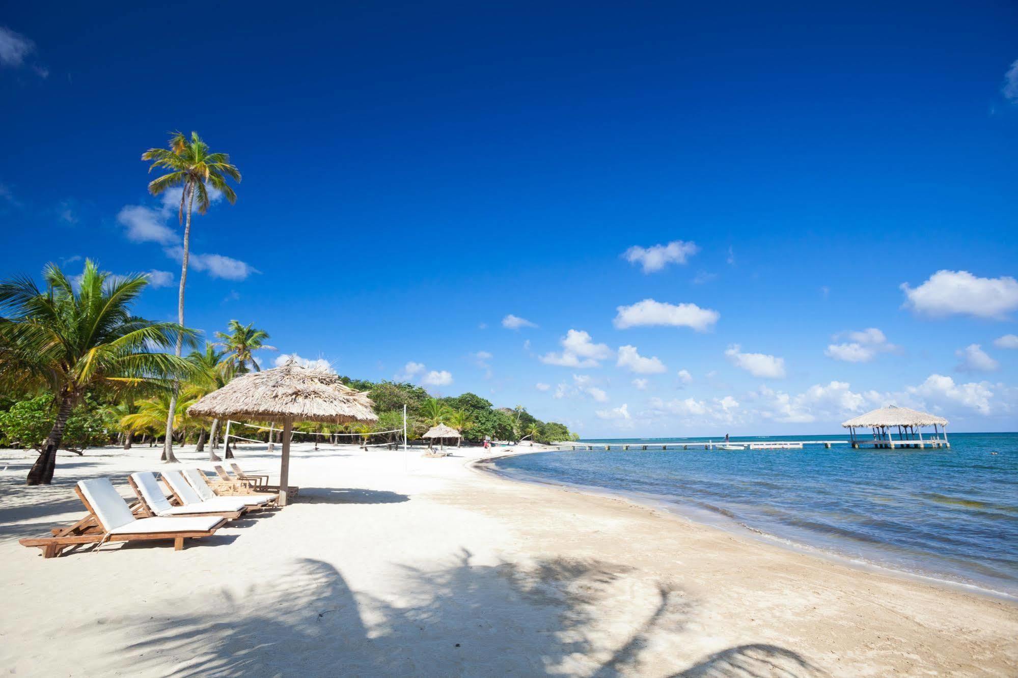 Casa Flores Palmetto Bay Luaran gambar