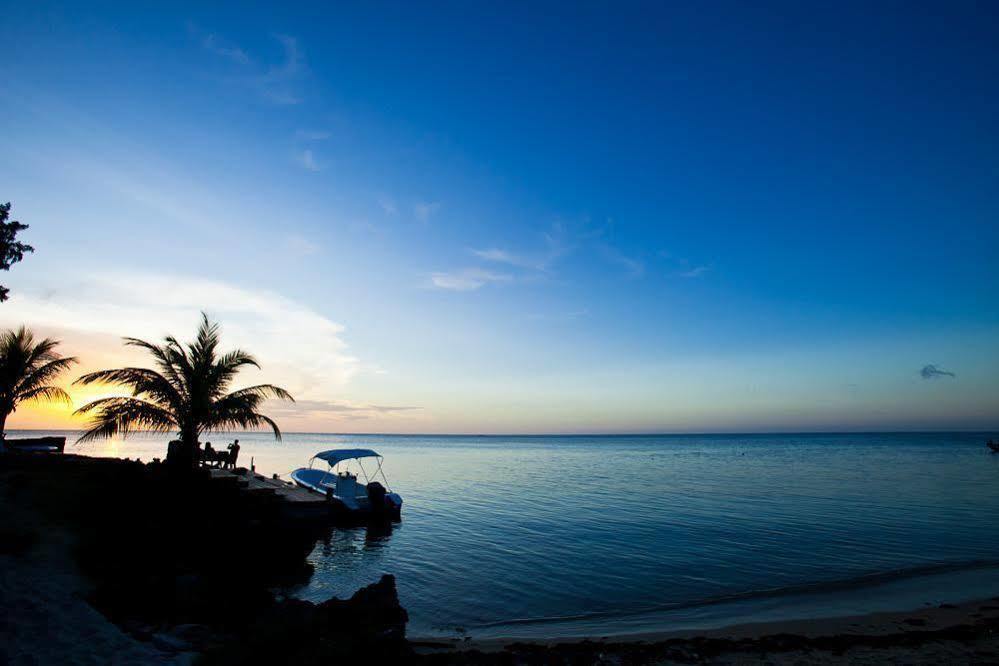 Casa Flores Palmetto Bay Luaran gambar
